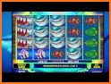 CASINO MEGA WIN : Wild Shark Slot Machine related image