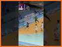 Republic of Handball related image