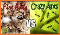 Crazy Ants related image