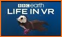 BBC Earth: Life in VR related image
