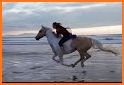 Horse Riding Surfers related image
