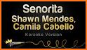 Senorita - Shawn Mendes, Camila Cabello Music Beat related image