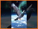 Fly Higher related image