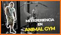 Animal Gym related image