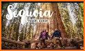 Sequoia National Park Guide related image