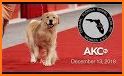 AKC.TV related image