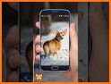 3D Cute Dog Live Wallpaper related image