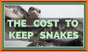 How to Own a Pet Snake related image