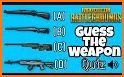 Guess The PUBG Guns & Items related image