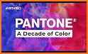 Year of Color related image