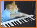 Cute Kitty Live Keyboard related image