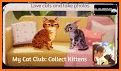 My Cat Club: Collect Kittens related image
