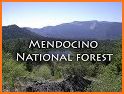 Mendocino National Forest related image