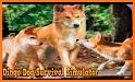 Dog Survival Simulator related image
