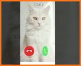 New fake Angela_Cartoon Cat call related image