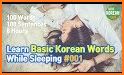 Korean Words. Flash Cards. Vocabulary Builder related image