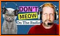 Meow Captain Flight Instrument related image