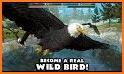 Bird Racing Simulator: Eagle Race Game related image