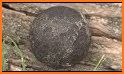 Idle Cannon Balls related image