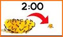 orange count timer related image