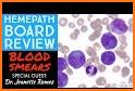 Board Review Series - Pathology related image