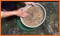 Gem Sieve related image