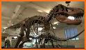 Archeology 3D Dinosaur Museum related image