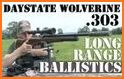 BALISTICA - Ballistics for Firearms and Airguns related image