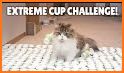 Cupchallenge Puzzle related image