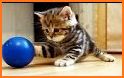 Games For Cats and Kittens related image