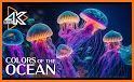 Live Wallpaper - 3D Ocean : World Under The Sea related image