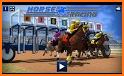 Horse Racing & Betting Game (Premium) related image