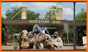 Houston Zoo related image