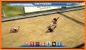 Dog Race Sim 2019: Dog Racing Games related image