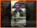 Gorilla Godzilla Vs King Kong related image