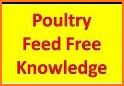 Poultry Recipes Book: Chicken, Duck, Turkey & Egg related image