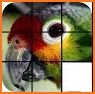 Animals of Puzzles: Free Sliding Puzzle Game related image