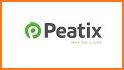 Peatix related image