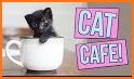 Cat Cafe related image