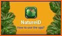 NatureID: Identify plant, flower, tree, cat & dog! related image