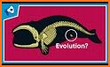 Evolution related image