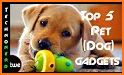 Dog Supplies: Best Dog & Puppy Products related image