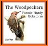 Woodpecker DKF2 related image