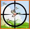Wild Duck Hunter 3D - Real Wild Hunting Game related image