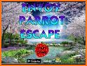 Combat Parrot Escape related image