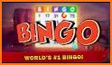 Bingo Frenzy - Best FREE Bingo related image