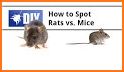 Mouse Repeller FREE 🐭 related image