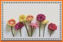 Cross Stitch Flower Color By Number - Pix No related image