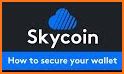 Skycoin Wallet related image