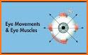Ocular Motility Disorders, 4 related image